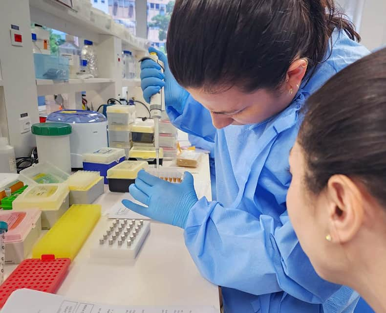 person pipetting into a plate